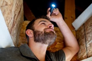 What to Expect From Your Attic Inspection