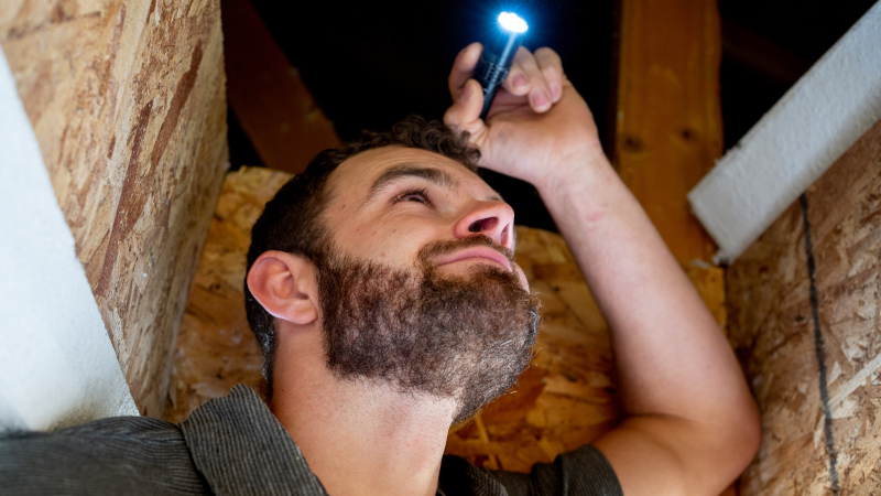 What to Expect From Your Attic Inspection