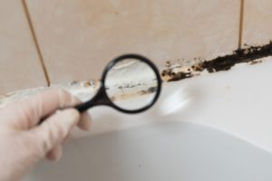 Why You Should Get a Mold Inspection Before Buying a Home